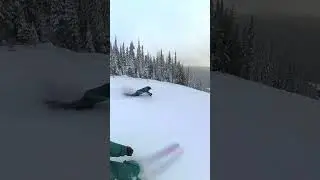 Creek demolishes skier