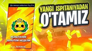 ИСПИТАНИЯ ЗОЛОТОЙ НЕДЕЛИ / BRAWL STARS UZBEK TILIDA