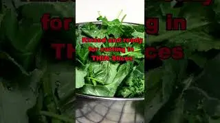 Harvesting Collard Greens, Kale and Green Onions