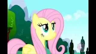 Fluttershy 