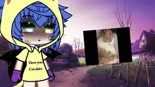 Just lost my cat today his first time at the new house 🙂 #shorts #gachalife #fyp