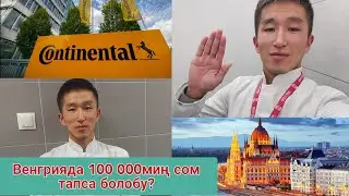 Венгрияда канча тапса болот? #европы #венгрия #кыргызча #казак #кыргызстан #бишкек #жумуш #казахстан
