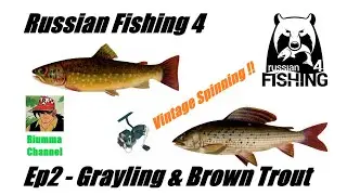 Russian Fishing 4 - Ep2 - Grayling & Brown Trout -Spinning Vintage!! Belaya River