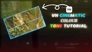vn cinematic colour tone tutorial
