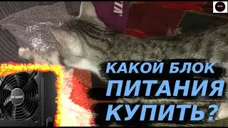 КАКОЙ БЛОК ПИТАНИЯ КУПИТЬ? ОБЗОР BE QUIET SYSTEM POWER 9