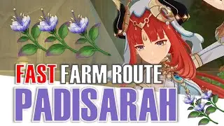Padisarah Farming Route Locations | Nilou Ascension Materials Genshin impact | Relaxing Music