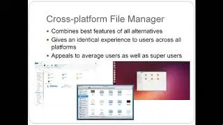 Cross-Platform File Manager