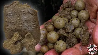 AVOID NUISANCE FISH – GIVE THEM A PASTING! Carp fishing, DNA Baits, Mark Bartlett