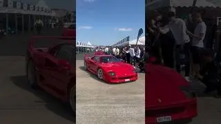 Red beast ❤️