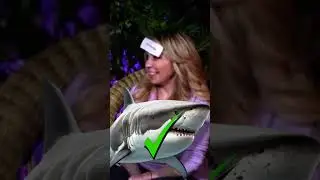 Best of Voice of Beast Boy