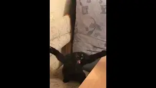 a malfunctioning CAT.