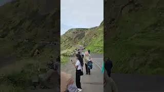 Giant`s Causeway #shortvideo #travel #holiday #tourist #belfast