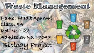 Waste Management | How to manage waste
