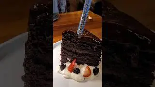 🤤 YOLO Las Olas Restaurant (Chocolate Cake, Pork Chop, & More❗️)