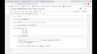 Transpose Function NumPy Python