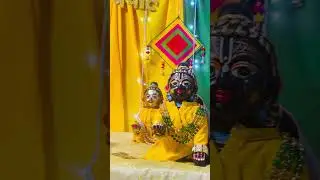Haldi mehendi function of Radha Rani #love #radha #barsan #krishna #laddu #barsana