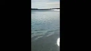11 ноября 2024 г.