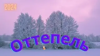 #Оттепель#   (6)