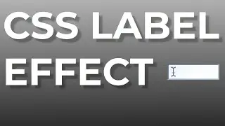 Html Css Input Label Effect.