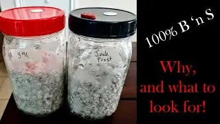 100% Break and Shake Bounceback!    #mushroomgrowing #grainspawn  #grainjars #colonization