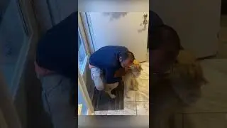 Dog Reunites with Owner (Full Video)