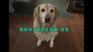 HunterCam #5