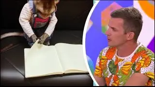Мы стали гостями в передаче Видели видео