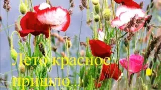 Лето красное настало.  Здравствуй дача.