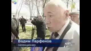 Вадим Парфенов о карачаевской породе лошадей