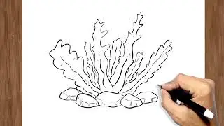 How to Draw Seaweed