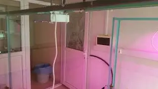 Topraksız tarım Hareketli yapay ışıkla hidroponik sistem çilek büyütme 2