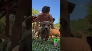 His Abs Workout HAD PUPPIES!🐶