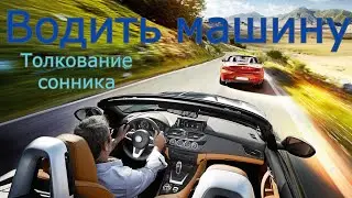Водить машину - толкование сонника