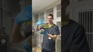 А вы знали это? 