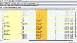 SAP ABAP IDOC Viewer