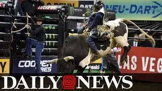 Bull riders of PBR take Madison Square Garden at Professional Bull Riders Monster Energy Buck Off