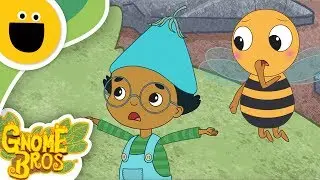 Lost Acorn | Gnome Bros (Sesame Studios)
