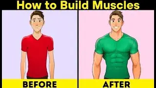 How to Build Muscles | How To Video