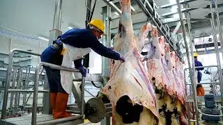 How to Processing Meat With Robotics Technology Inside the Factory