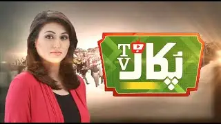 News Opner:Promo News Channel | Green Screeen