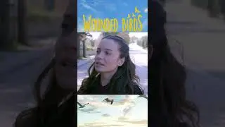 در آخرین لحظه ذخیره شد #shorts #yaralikuslar #woundedbirds