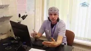 Ветеринарная клиника 