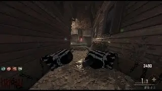 Bo2 Chaos Mod w/ @exzrty302