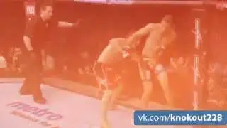 Нокаут MMA vine (6sec)