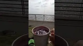 DISFRUTANDO UN DÍA DE PESCA CON AMIGOS 🤪 #shorts