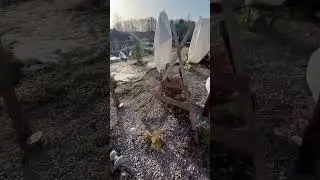 Весна на даче #новосибирск
