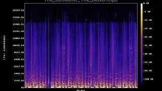 The Schooner The Better mp3