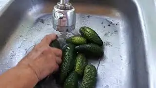 ОГУРЦЫ С ДРУГОГО ОГОРОДА!! ГОТОВИМСЯ К ВСТРЕЧЕ СЫНУЛИ