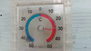 всё растёт, всё цветёт.