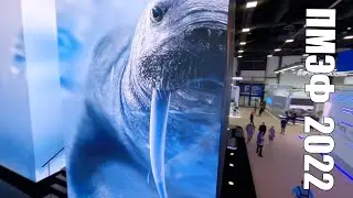 ПМЭФ с FPV дрона